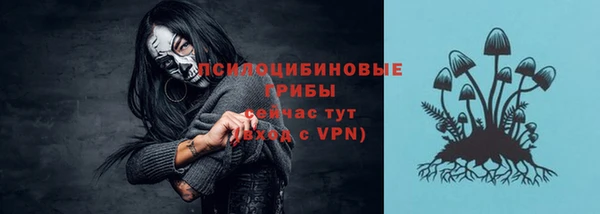 соль ск Алексеевка