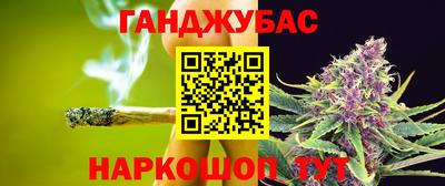 шишки Кингисепп
