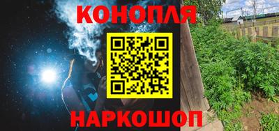 шишки Кингисепп