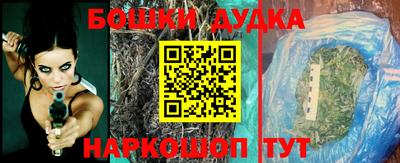 шишки Кингисепп