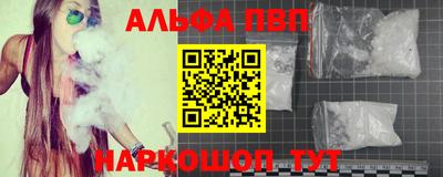 шишки Кингисепп