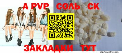 шишки Кингисепп