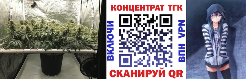 ТГК THC oil  Лосино-Петровский 