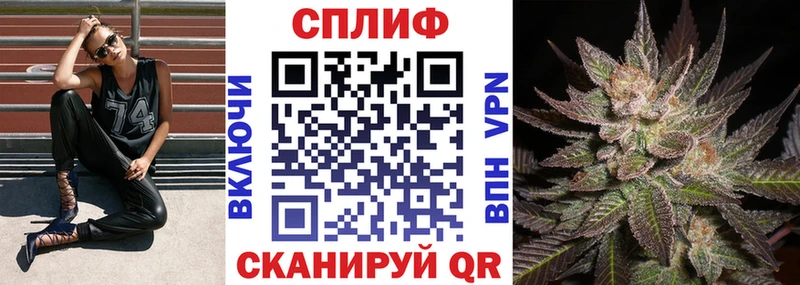 Бошки марихуана сатива  наркотики  Лосино-Петровский 